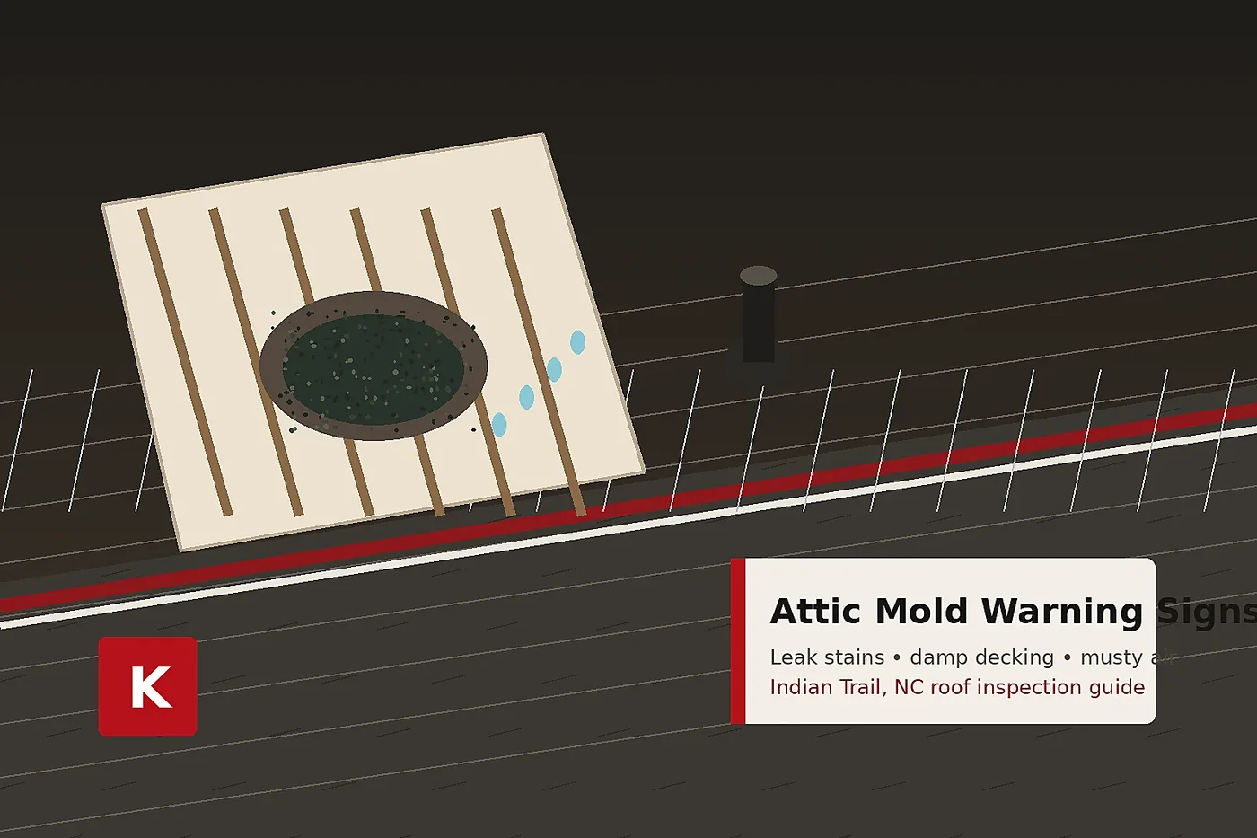 Indian Trail NC roof leak inspection showing attic mold warning signs near damp roof decking