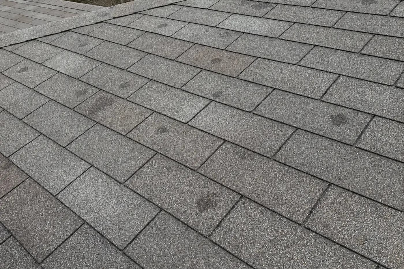 Indian Trail NC asphalt shingle roof with subtle hail impact marks and granular wear