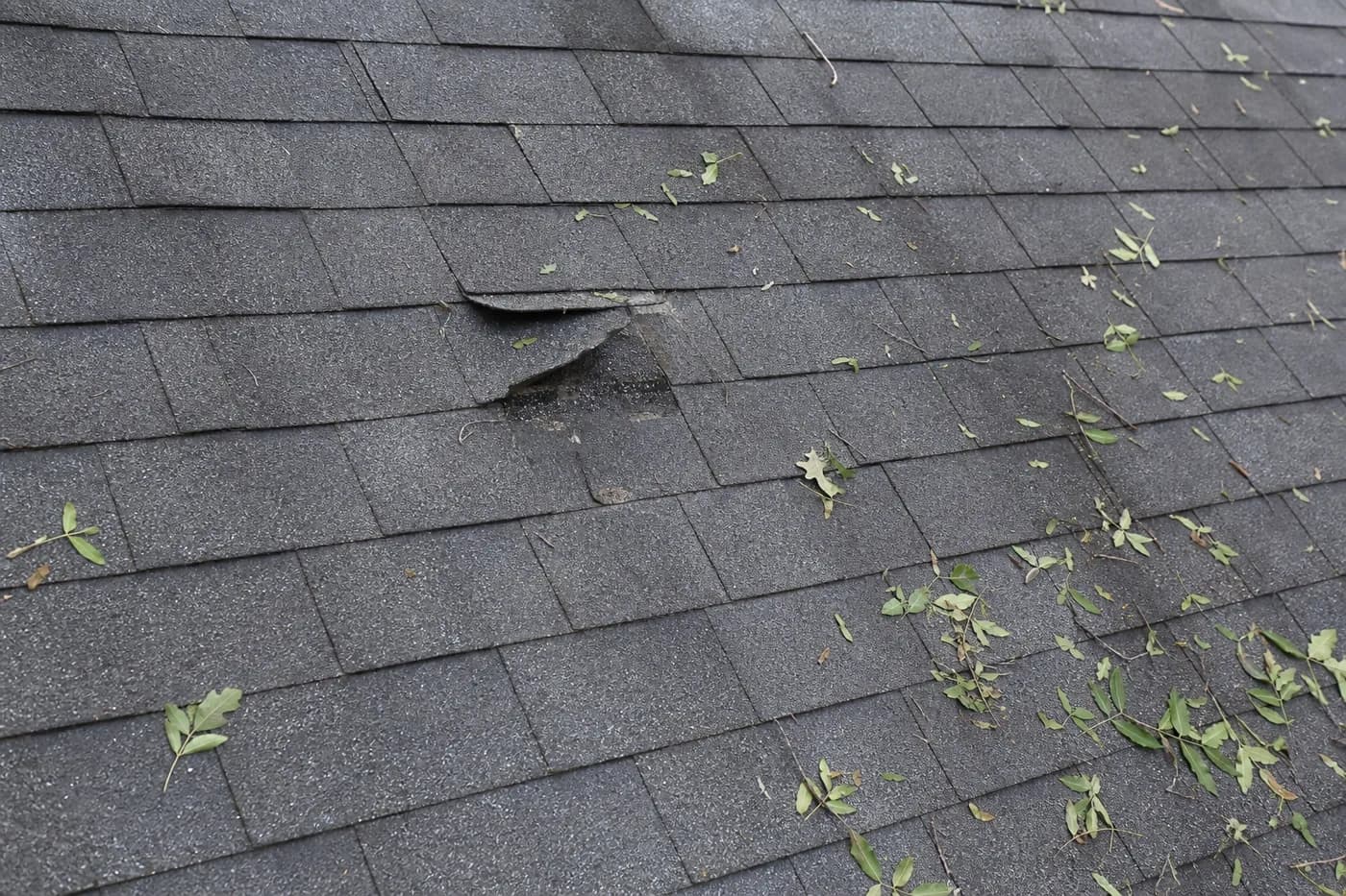 Charlotte NC asphalt shingle roof with lifted shingles and leaf debris after tree limb impact