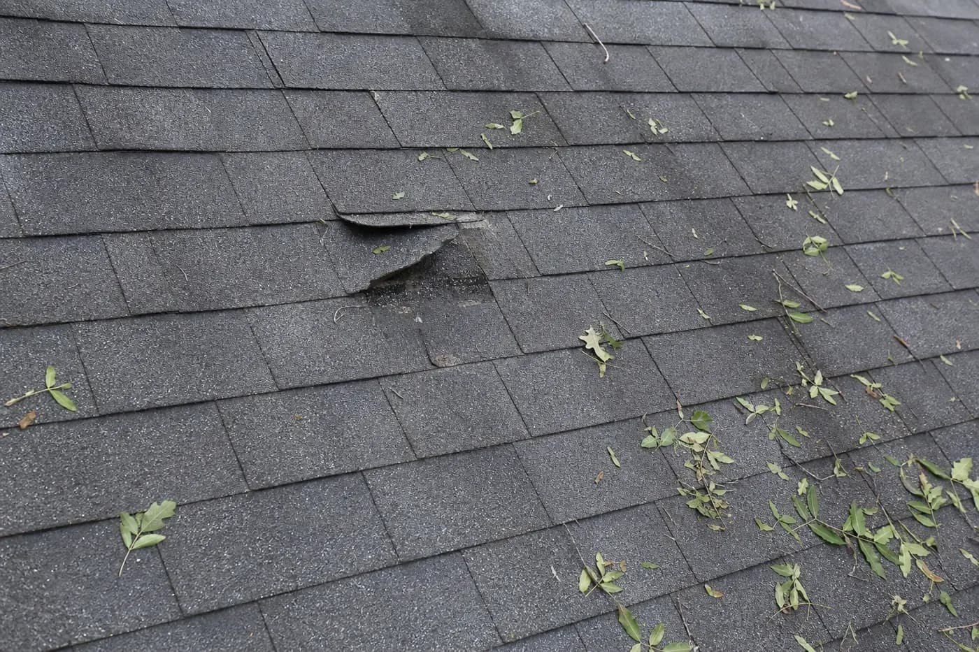 Charlotte NC asphalt shingle roof with lifted shingles and leaf debris after tree limb impact